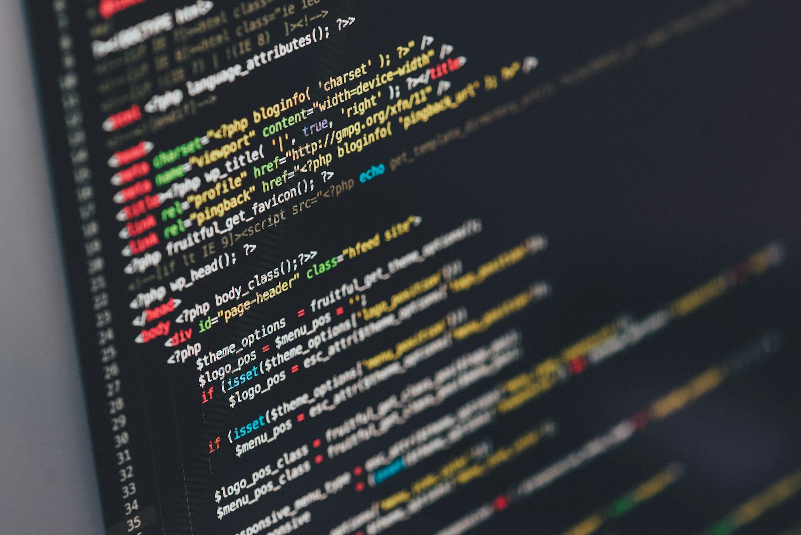 Software Development